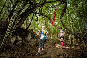 BIB: 
                            <button type="button" onclick="openModal(22178518)" class="btn btn-primary btn-sm float-right btn-popup" data-toggle="modal" data-target=".modal-high-quality">
                        <i class="fas fa-shopping-cart"></i> Add to Cart
                    </button>
                                            <button type="button" onclick="isThisMe(22178518, true)" class="btn btn-success btn-sm float-right btn-popup btn-isme hidden" data-toggle="tooltip" data-placement="bottom" title="นี่คือรูปของคุณใช่ไหม คลิกที่นี่เพื่อเอาเข้าอัลบั้ม">
                        <i class="fas fa-plus"></i> Add to album
                    </button>
                    <button type="button" onclick="isThisMe(22178518, false)" class="btn btn-warning btn-sm float-right btn-popup btn-isnotme hidden">
                        <i class="fas fa-ban"></i> Remove from album
                    </button>